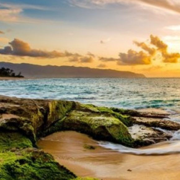 Profile picture of Johan Alex