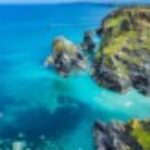 Profile picture of Nicky