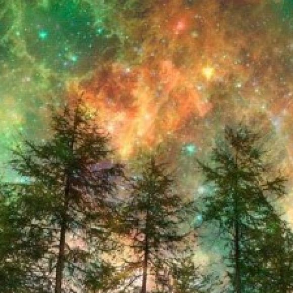 Profile picture of MJ