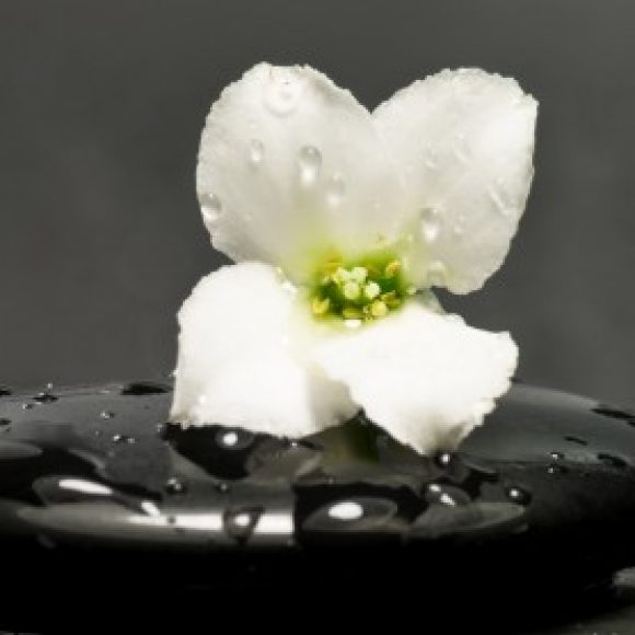 Profile picture of Johan